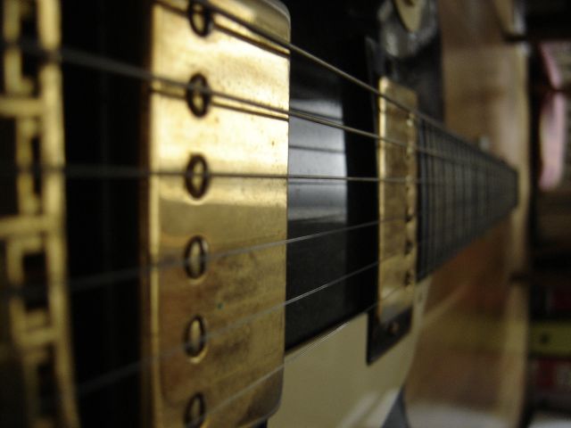DSC02204.JPG