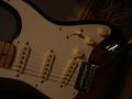 DSC01799.JPG